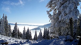 snowy-landscape-.jpg